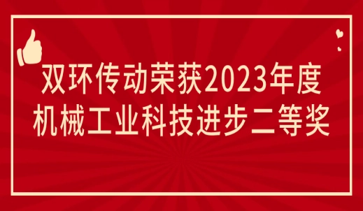 双环