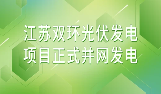双环